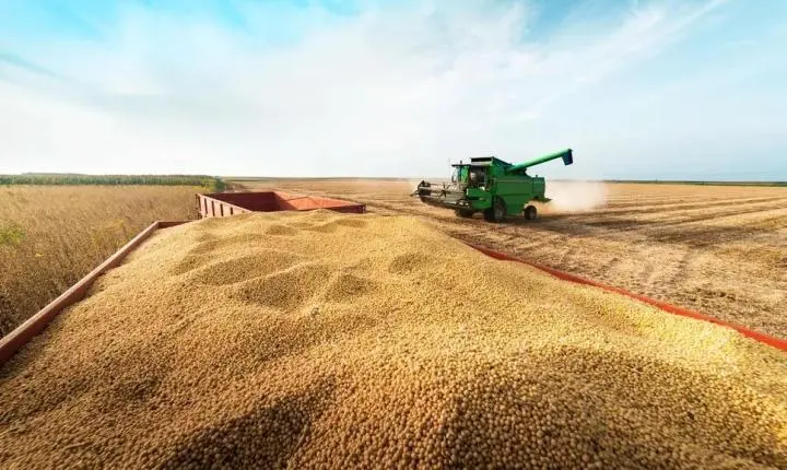 Safra de soja em MT é apontada em 41,5 milhões de toneladas para 22/23