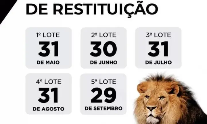 Saiba agora se você está no 1º lote de restituição do Imposto de Renda