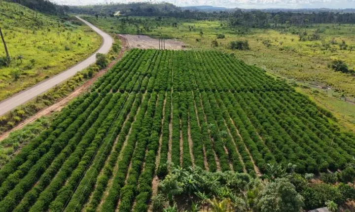 Seaf inicia mobilização do MT Produtivo em 61 municípios de Mato Grosso