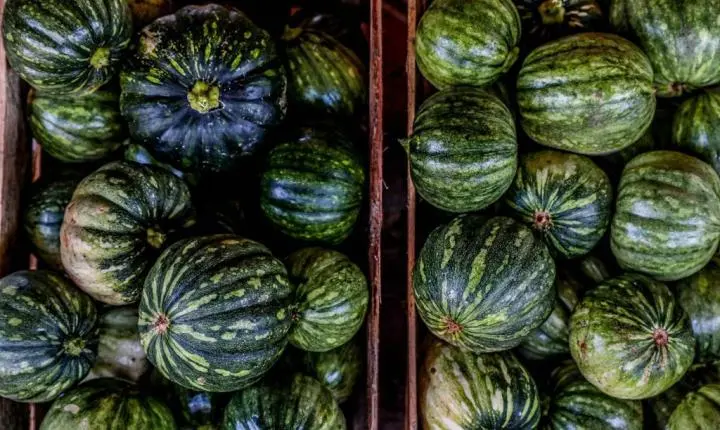 Seaf seleciona propostas de produtores rurais que queiram participar do Programa de Aquisição de Alimentos