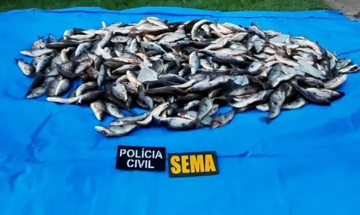 Sema apreende 220 quilos de peixes em operação contra pesca ilegal em Guarantã do Norte