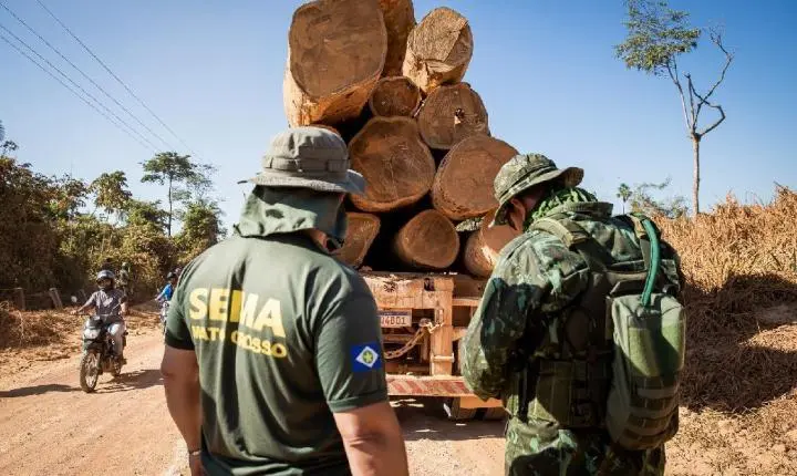 Sema bloqueia 72 empreendimentos em sistema por suspeita de irregularidade no comércio de madeira