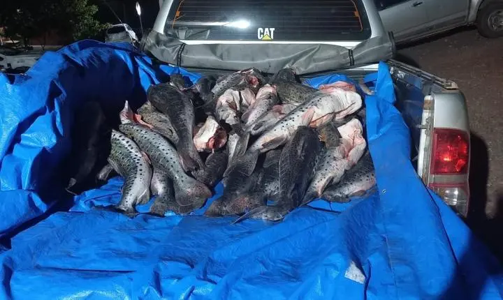 Sema e PM apreendem mais de 300 quilos de pescado ilegal