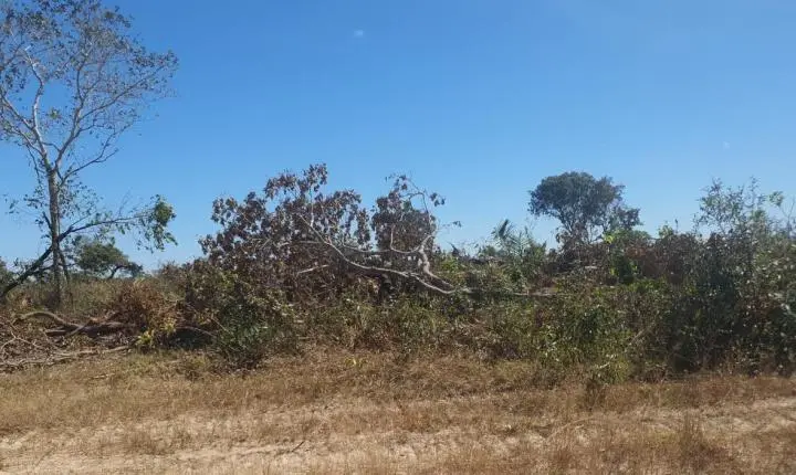 Sema embarga área de 970 hectares e multa proprietário em R$ 970 mil por desmatamento ilegal