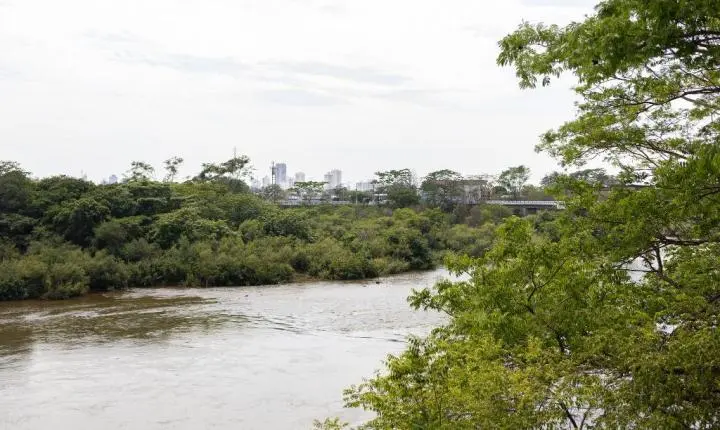 Sema intensifica fiscalização nos rios de MT durante período de defeso da piracema