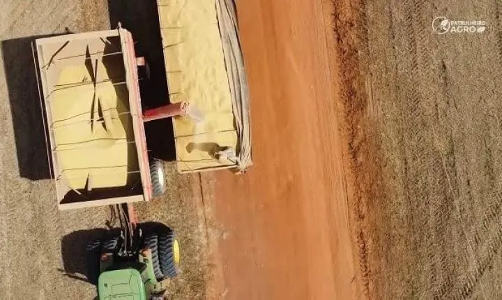 Sobre áreas de pasto degradado, lavouras de grãos avançam no norte de Mato Grosso