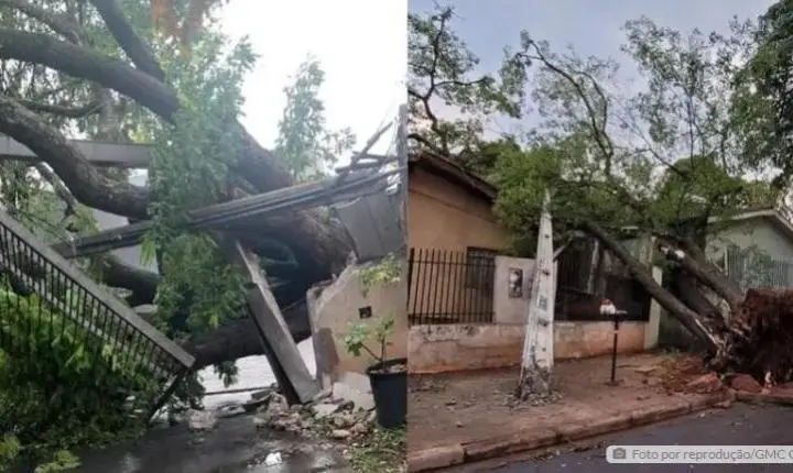 Temporal causa destruição em Maringá no Paraná