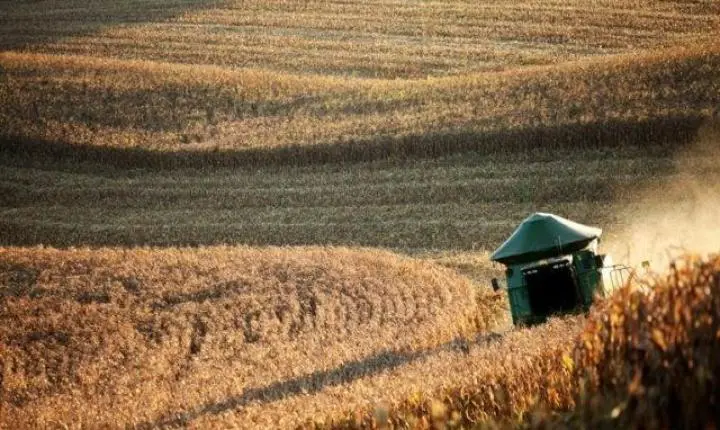 Valor da Produção Agropecuária fecha 2022 em R$ 1,189 trilhão