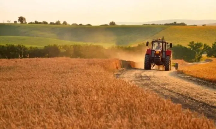 VBP de Mato Grosso representa 16,4% da receita nacional e lidera ranking