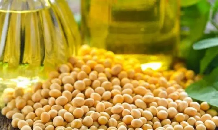 Venda das safras 22/23 e 23/24 estão atrasadas em Mato Grosso