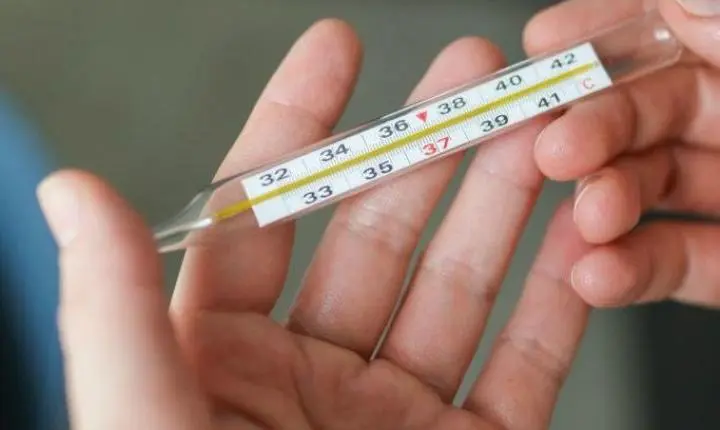 Verão acende alerta para dengue, zika e chikungunya; especialista explica porque