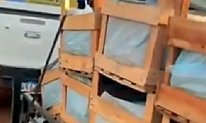 Vídeo de Hilux adesivada com nome de candidato a Deputado Estadual carregada de alimentos para aldeias vira alvo de B.O. por suspeita de compra de votos em Primavera do Leste