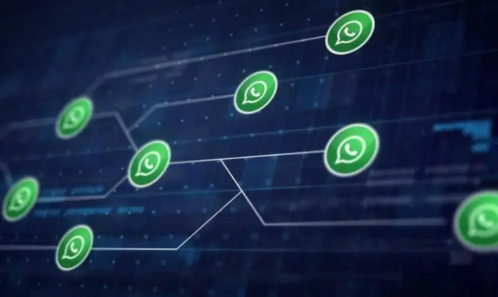 WhatsApp: saiba os riscos de ter quatro aparelhos conectados